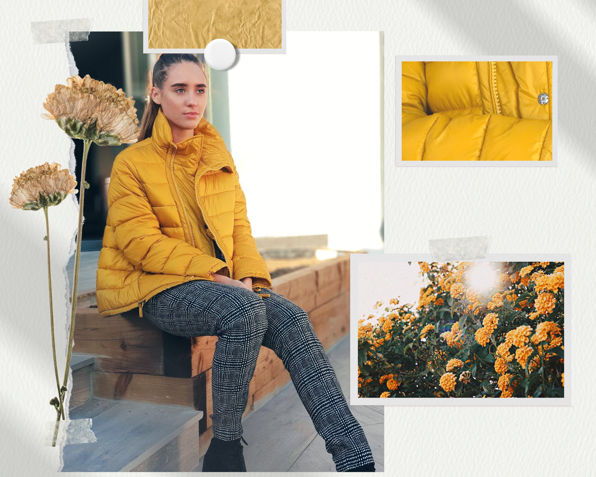 Brighten Up Your Day