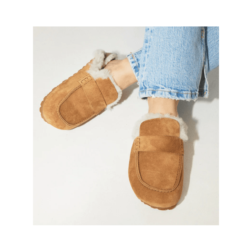 Philip Hog Lina Suede Mule House Shoe Tan