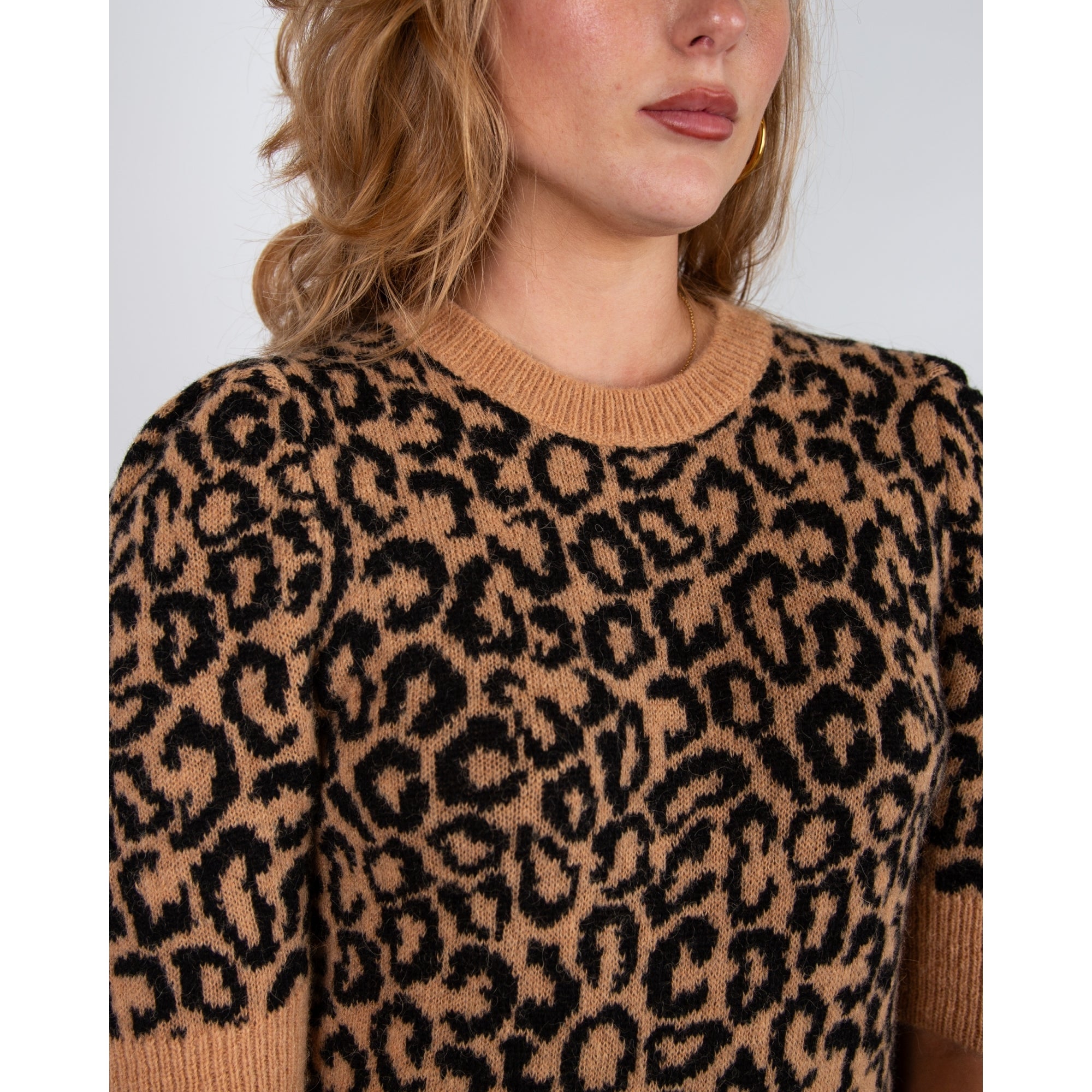 Riani Leopard Print Short Sleeve Jumper Tan/Black
