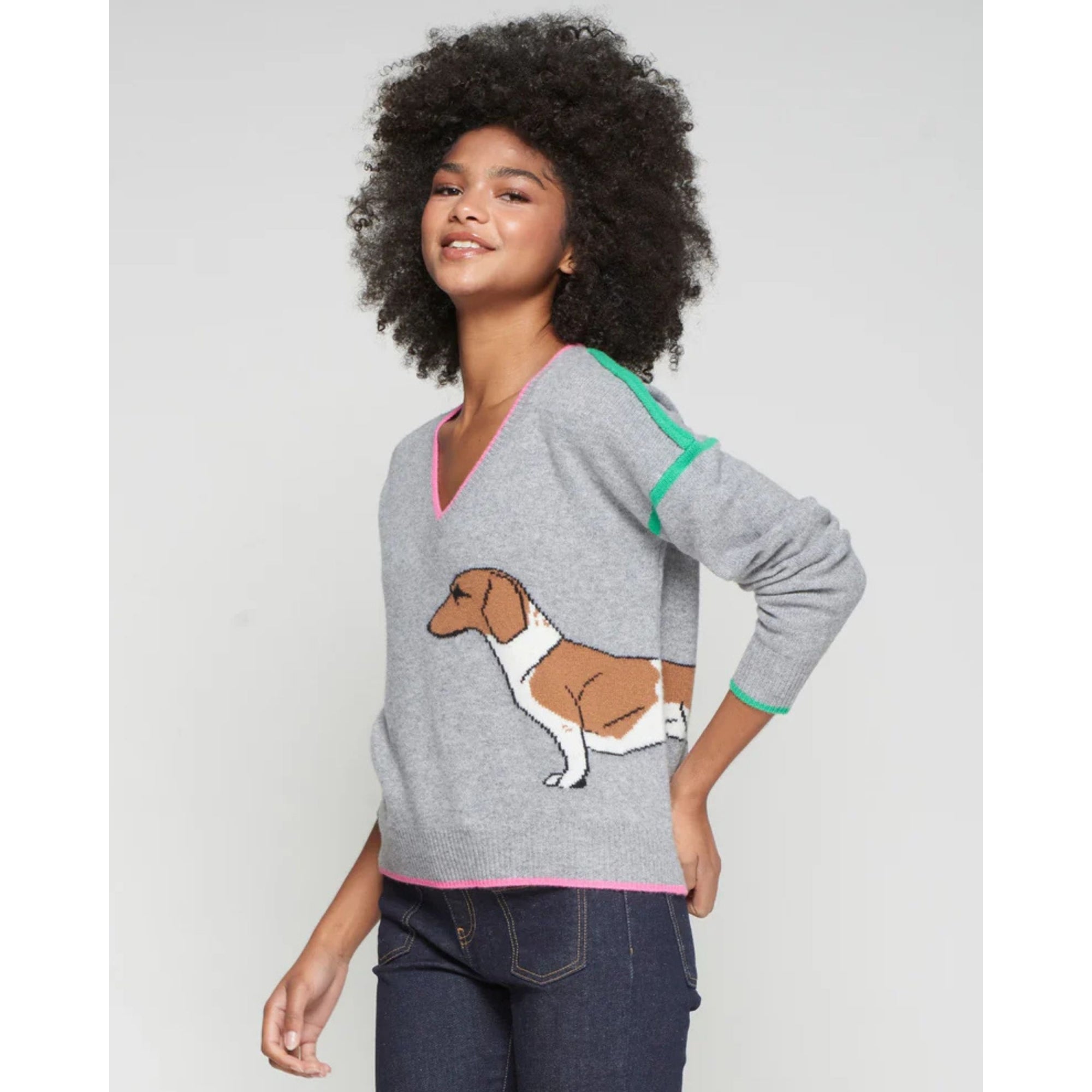 Vilagallo Intarsia V Neck Daschund Jumper With Contrast Trim Grey